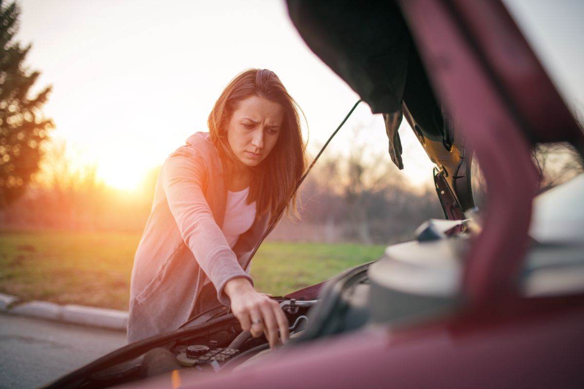 Auto ferma