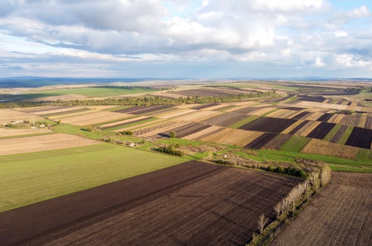 terreno agricolo